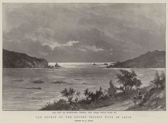 The Effect of the Recent Seismic Wave in Japan